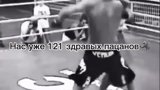 7304ddb797efa52cdacd475f18fa0e15