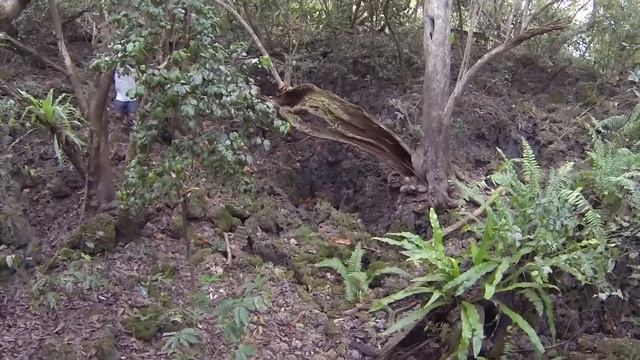 Agana H3 #1603 смотреть онлайн