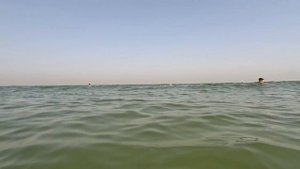 ОАЭ. Пляж отеля "Wyndham Garden Ajman Corniche".
