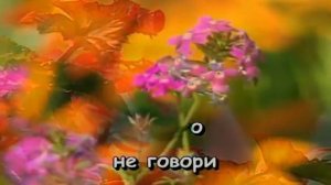 КАРАОКЕ  086 МОЛОДАЯ  АМИРАМОВ Е  Karaoke151