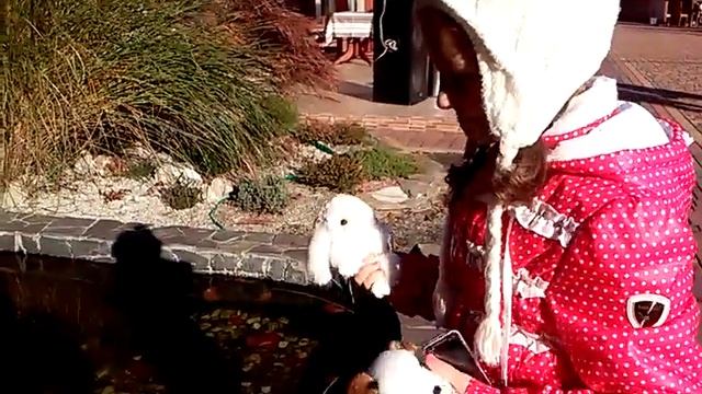 Бросаем монетку, чтобы вернуться. Астур отель с бассейном смотреть онлайн