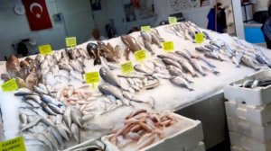 АЛАНИЯ Lonicera City Part 3