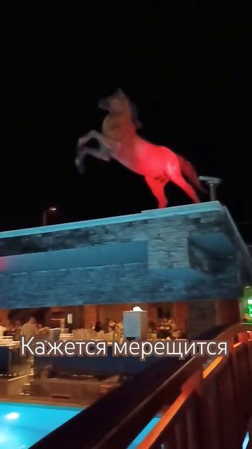 сюрприз 😄🇹🇷 Турция #senza the inn resort & spa #2024 #youtubeshorts #подпишись смотреть онлайн