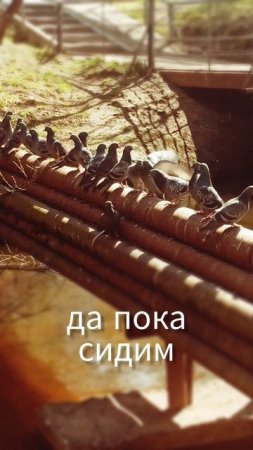Весна Тепло-тепло 😄