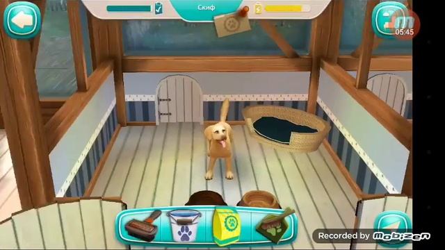 1ч. Dog Hotel\ Собачий отель помоще питомцам!