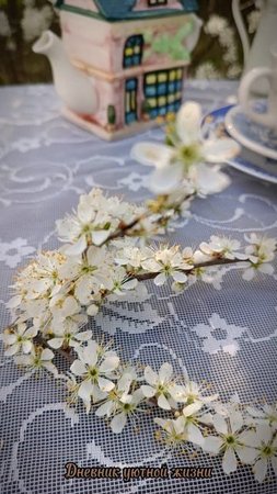 весенний сад