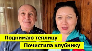 Поднимаем высоту теплицы. Почистила всю клубнику!