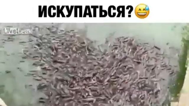 Ужасы мира смотреть онлайн