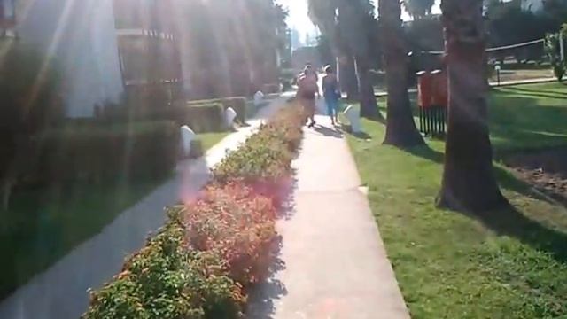 Suntopia Hydros Club Обзор ч.4 смотреть онлайн