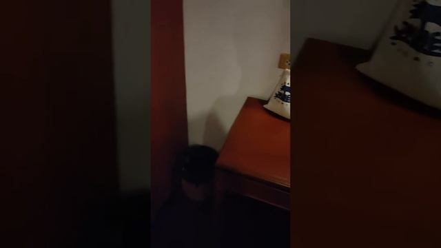 Вся правда о отеле "Гран Джомтьен Палас" Паттайя. смотреть онлайн