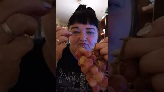 виноград жру на камеру 10.10.2022 смотреть онлайн