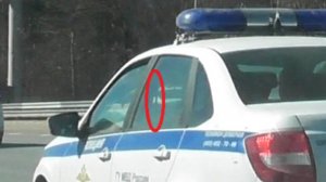Притянули за ремни