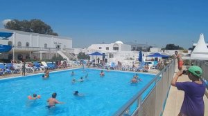 Тунис, Хаммамет 2015. Отель Samira Club 3*. Бассейн, толпа аниматоров
