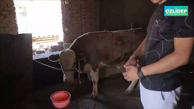 O'zLiDeP Сиёсий партияси Зангиота тумани Кенгаши тумандаги  ёшларни қўллаб-қувватлашда давом этмоқд