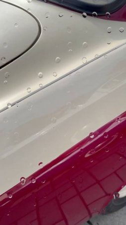 Калининград на колесах: автопробег в честь «Диктанта Победы»