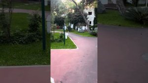 Emelda Sun Club - 2024 - Раннее утро, прогулка по территории под жужжание анчоусов ;)