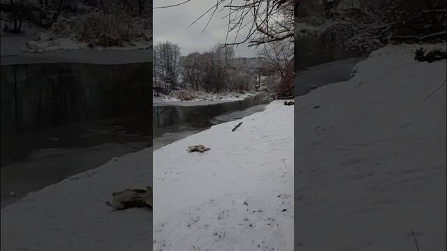 Утро в Тарусе смотреть онлайн