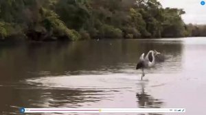 Power Up 1 Unit 9 What can we see on holiday?