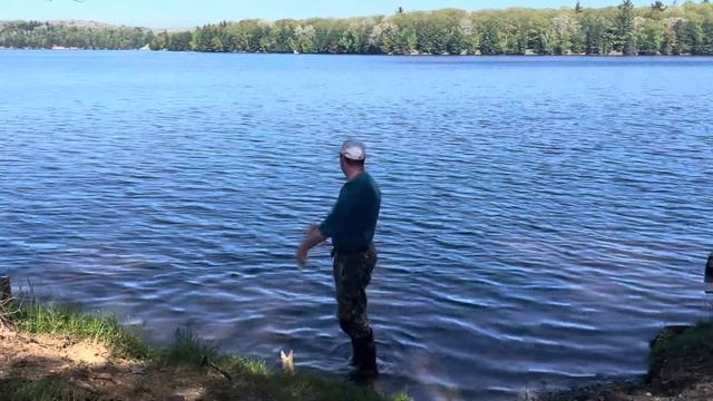 РЫБАЛКА и Кемпинг на Севере🏕️ВОТ ЭТО УЛОВ🎣Еле Вытащил из РЕКИ смотреть онлайн