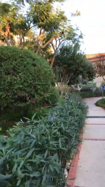 Fun&Sun Gypsophila Village ноябрь. #красивыйотель #турция #турцияморе #море2024 смотреть онлайн