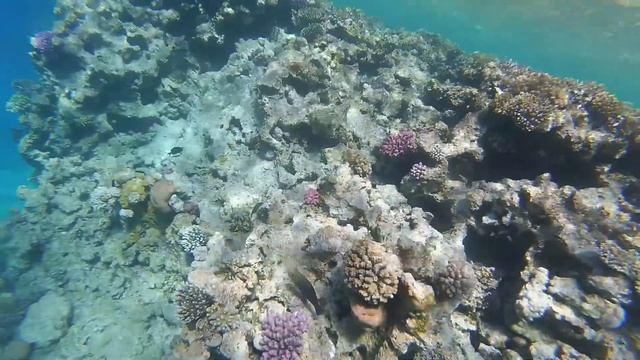 Арабский рай.Египет. смотреть онлайн