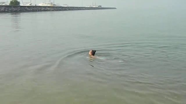 Тайланд Паттая готель Ботані Botany - гарячі путівки зі Львова, тури пропозиції, відпочинок зимою смотреть онлайн