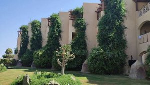 Prima life makadi | افضل فنادق الغردقه 2023 | Лучшие отели Хургады