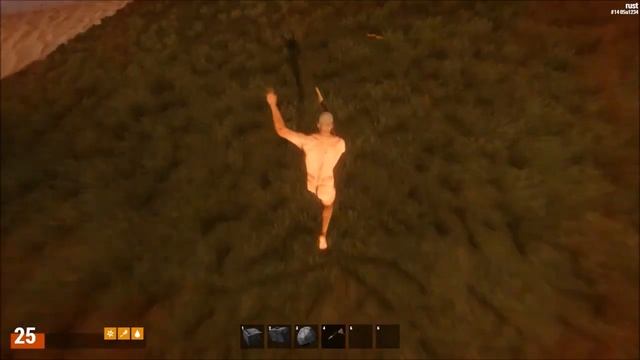 [Баг] Rust experimental - Я всегда хотел быть птицой :( смотреть онлайн