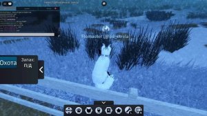 Как ролить полными постами в ККВ