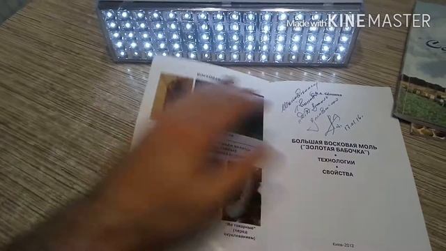 Дід Василь. Збірка книжок. смотреть онлайн