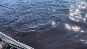 Там где начинается рыбалка 2 часть