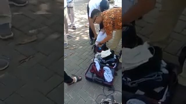 Туристов поймали на краже в отеле смотреть онлайн