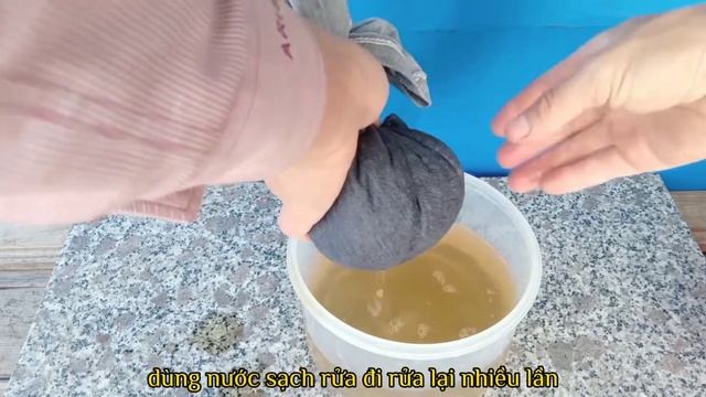 #48 Growing coriander from seeds, great quick sprouting tips for beginners смотреть онлайн