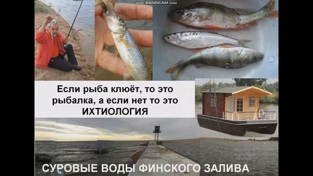 7 мыслей о пенсии