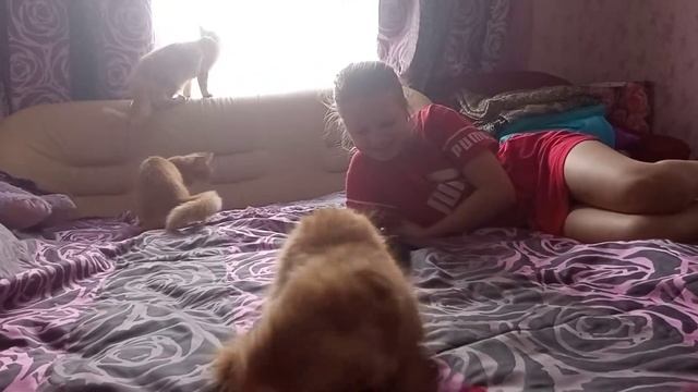 мейн куны(1) смотреть онлайн