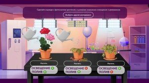 Прохождение лабораторной работы № 6 | Фотосинтез растений