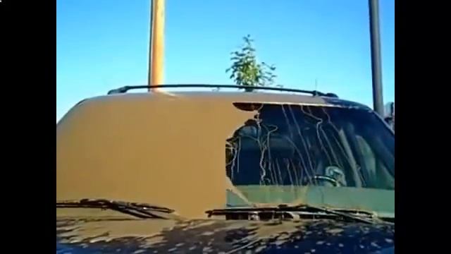 антидождь лобового стекла