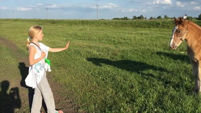 Тамбов 03 смотреть онлайн