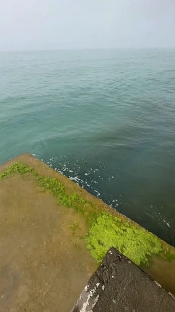 Заброшенный санаторий между Адлером и Сочи смотреть онлайн