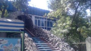 янгиер 3 720x576