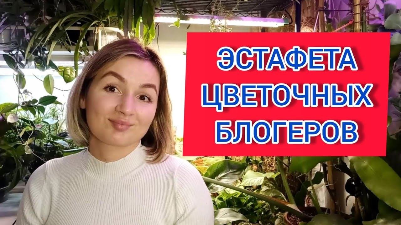 ЭСТАФЕТА цветочных блогеров!