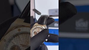 Pagani Design PD1707 Silver Leather Royal Oak | Chronograph Original Men Quartz Japan Movement Watc