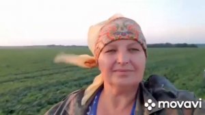 А лето цвета неба