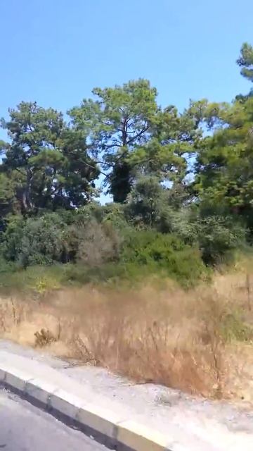 Дорога на Бельдиби. смотреть онлайн