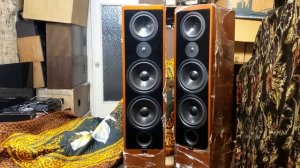 Canton Ergo RC-L благоухающий немецкий High-end ,одни из лучших европейских ас 90х годов.