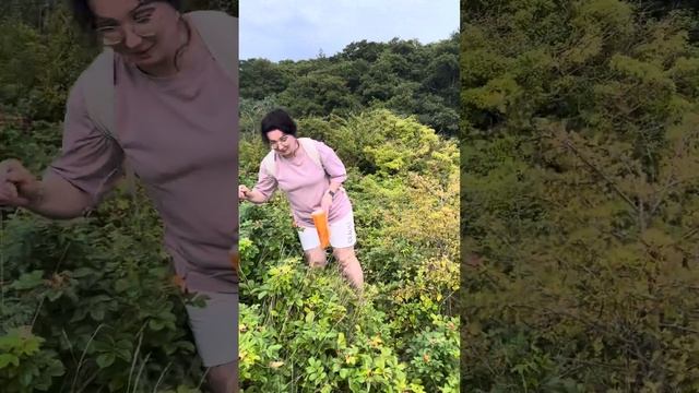 Пионерский курорт / продолжение смотреть онлайн