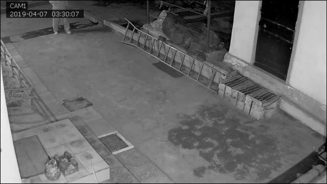 Тренировка 07.04.19г. ТОРЕТАМ смотреть онлайн