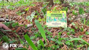 Универсальное удобрение в колышках | FIX PRICE