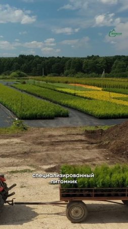 «Монблан» — это наша вложенная душа в 126 га