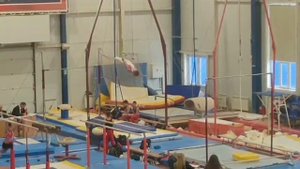 Соревнования по спортивной гимнастике